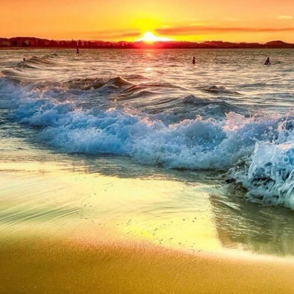 Meet your Posher, Susana